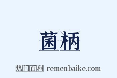 菌柄是什么意思的图片